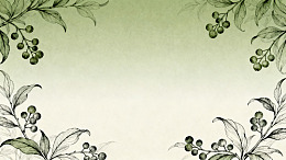 手绘风植物枝叶边框设计素材