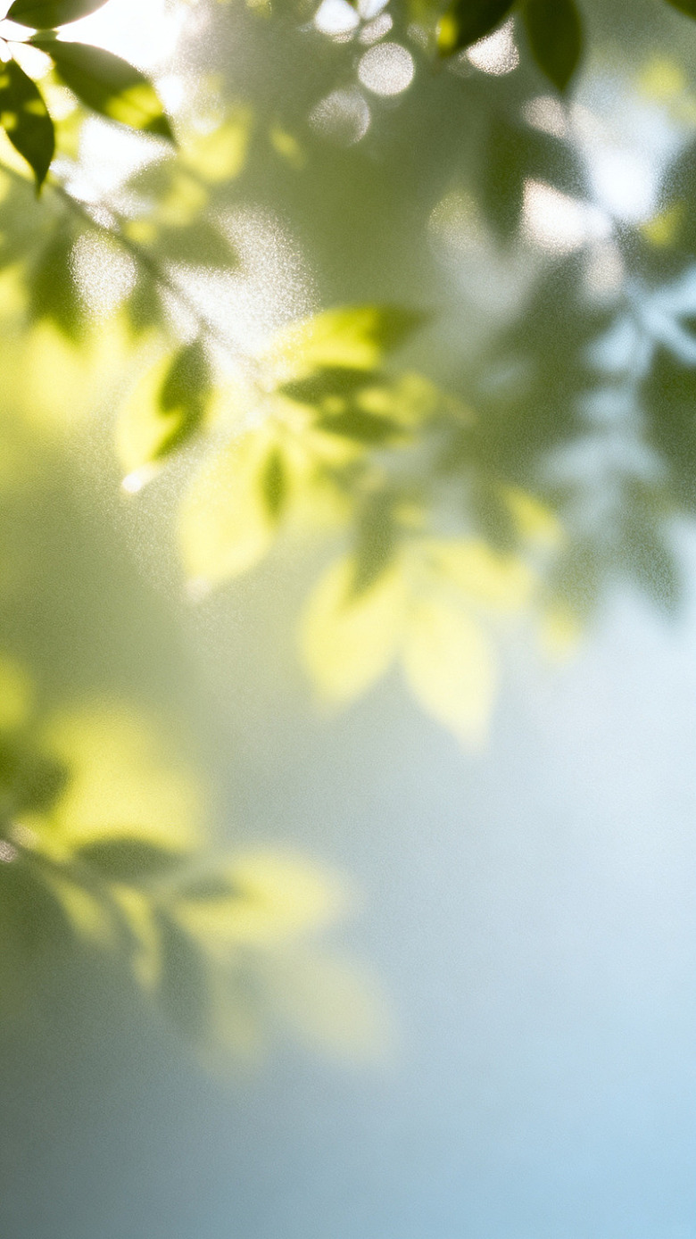 清新风阳光绿叶光影背景素材