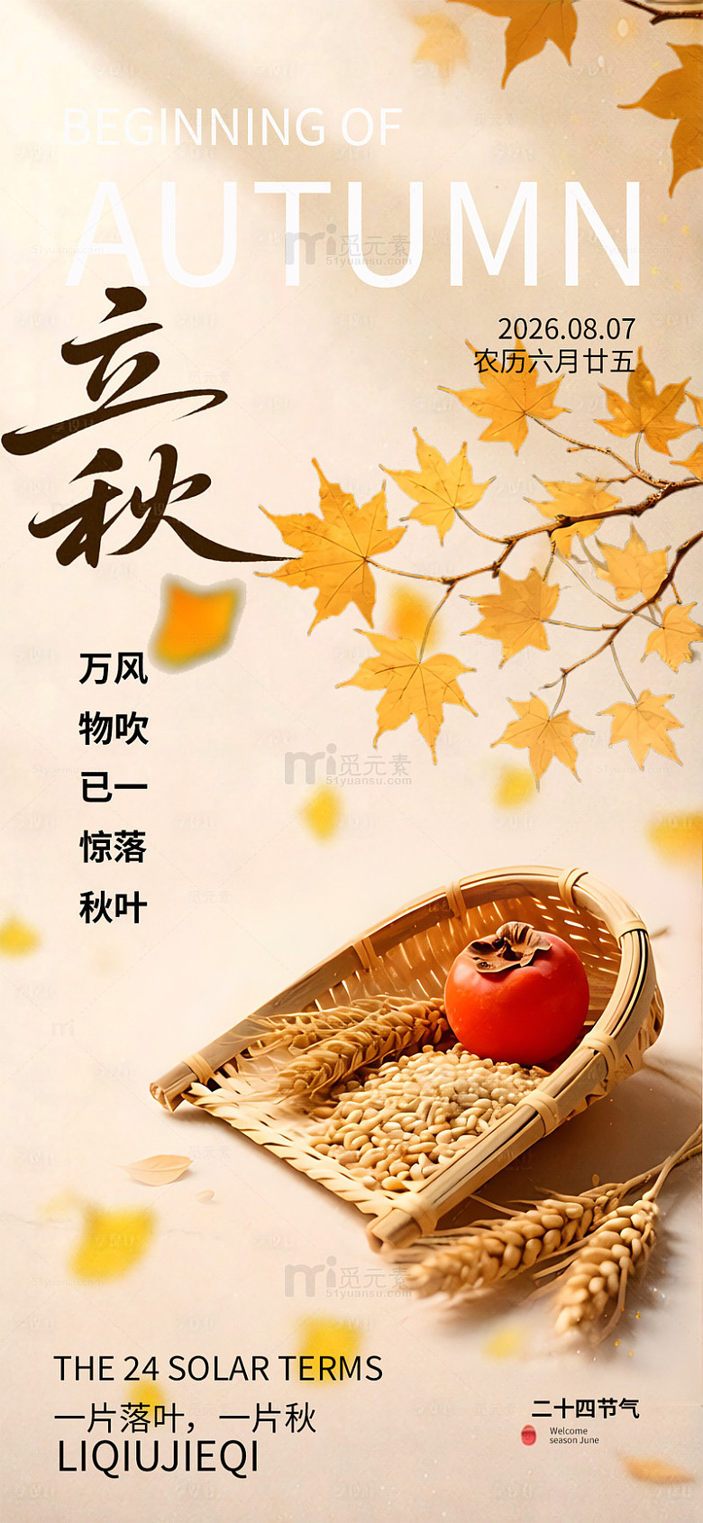 国风立秋节气落叶丰收海报