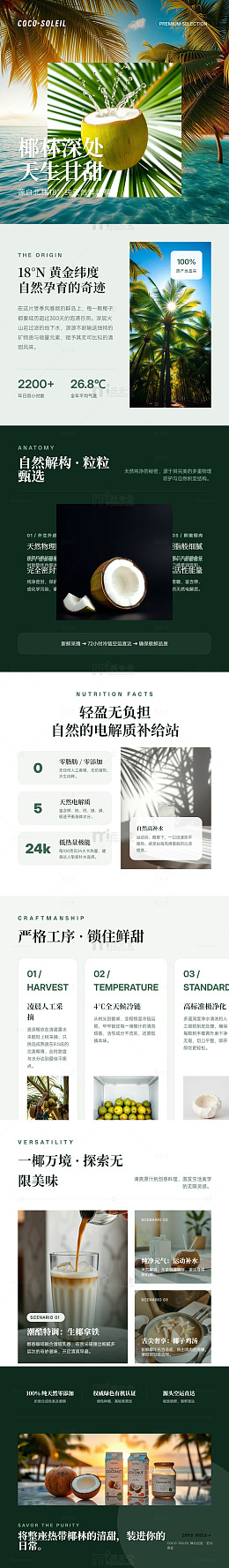 热带风椰子水天然饮品宣传海报电商详情页