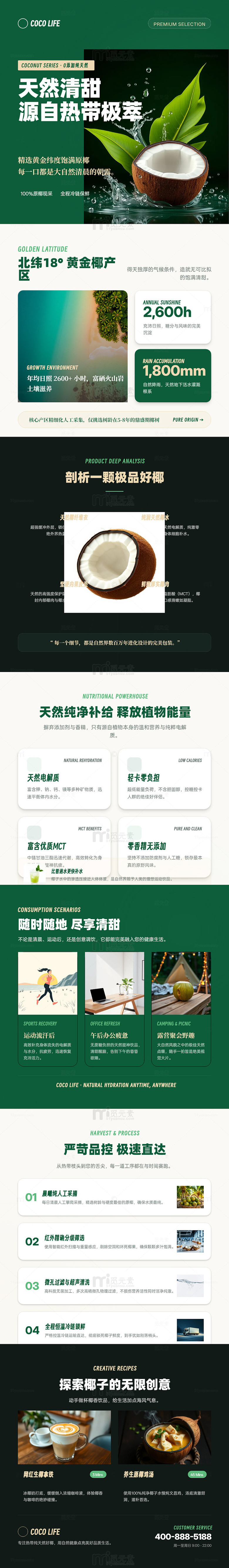 绿色极简风椰子水产品宣传海报长图详情页