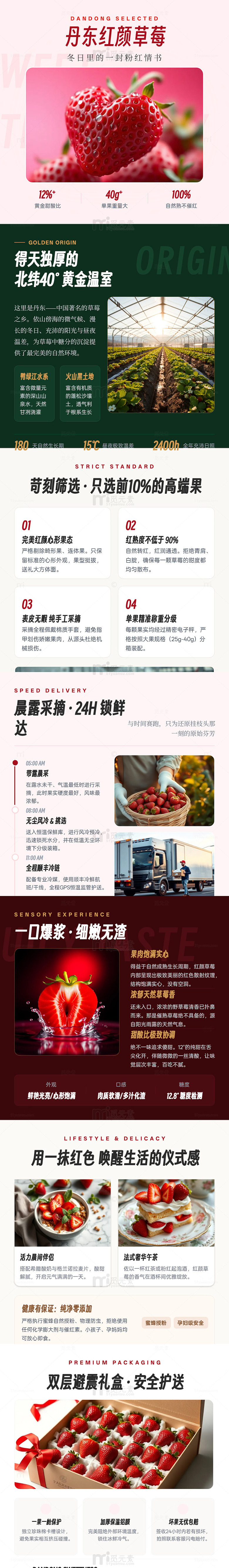 高端风丹东草莓礼盒长图详情页