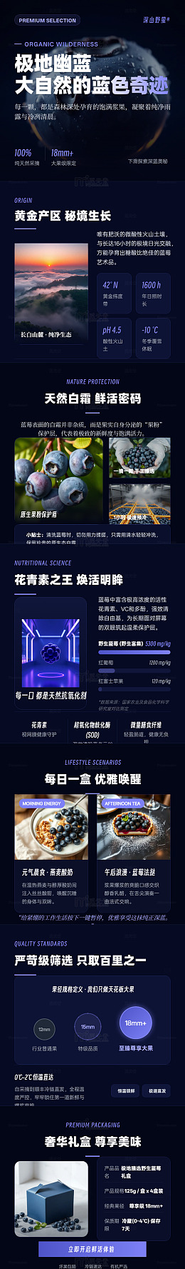 科技感蓝莓产品宣传海报长图详情页