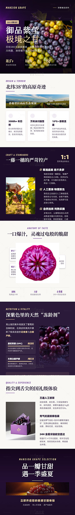 高端风紫葡萄产品宣传海报长图详情页