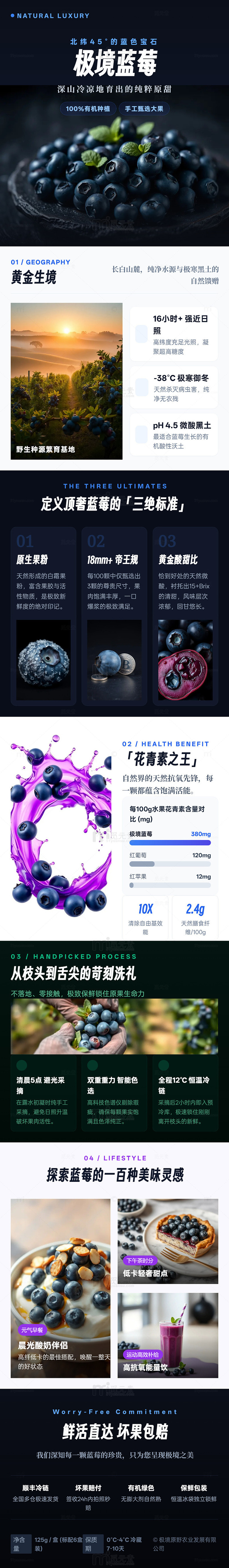 极简风蓝莓产品宣传海报长图详情页