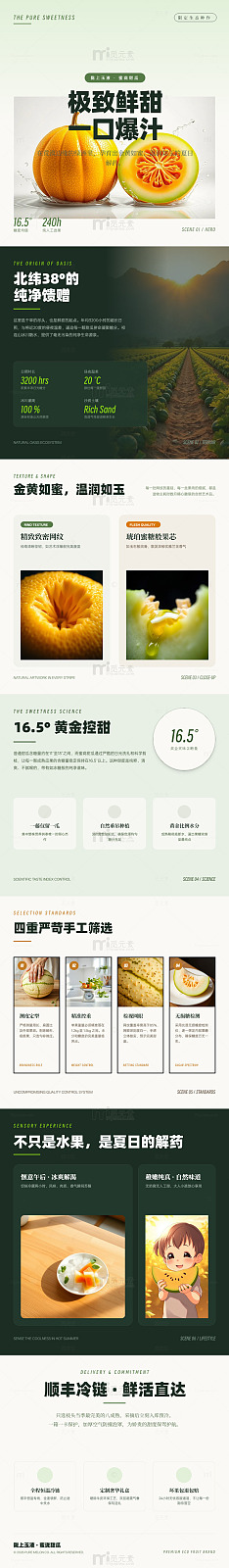 清新风哈密瓜产品宣传长图详情页