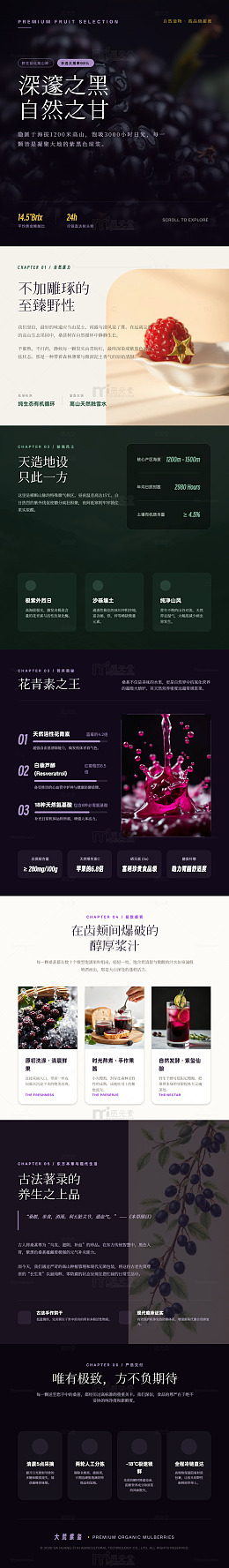 暗黑风高端水果饮品宣传海报长图详情页