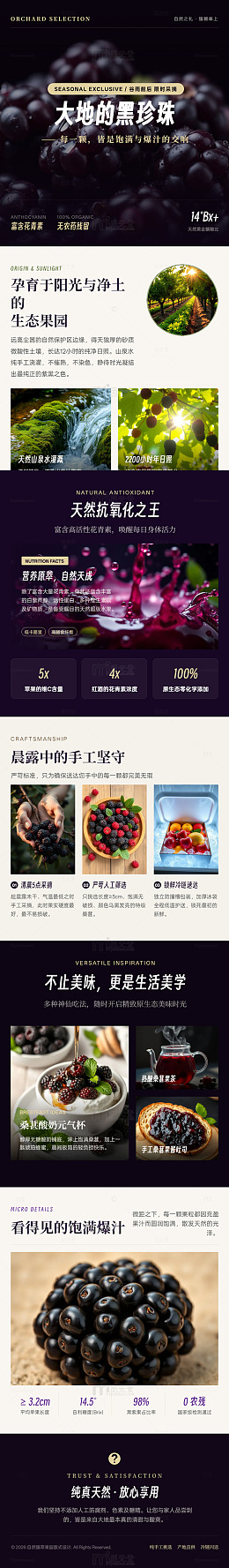 高端黑紫色调黑珍珠果宣传海报长图详情页