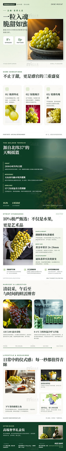 极简风高端葡萄礼盒长图详情页
