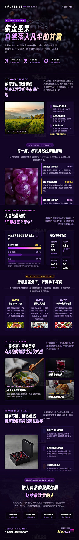 暗黑风紫金圣果高端产品宣传长图详情页