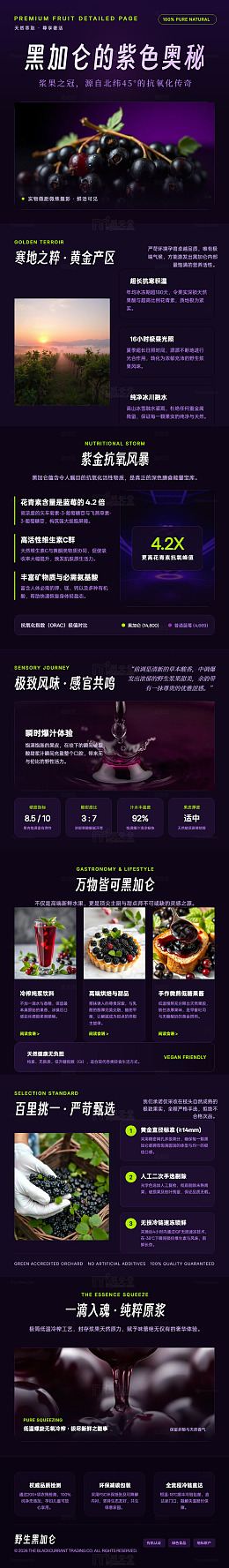 暗黑风黑加仑果品宣传海报长图详情页