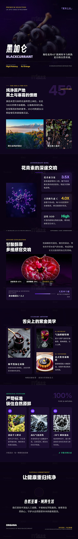暗黑风黑加仑果品宣传长图详情页