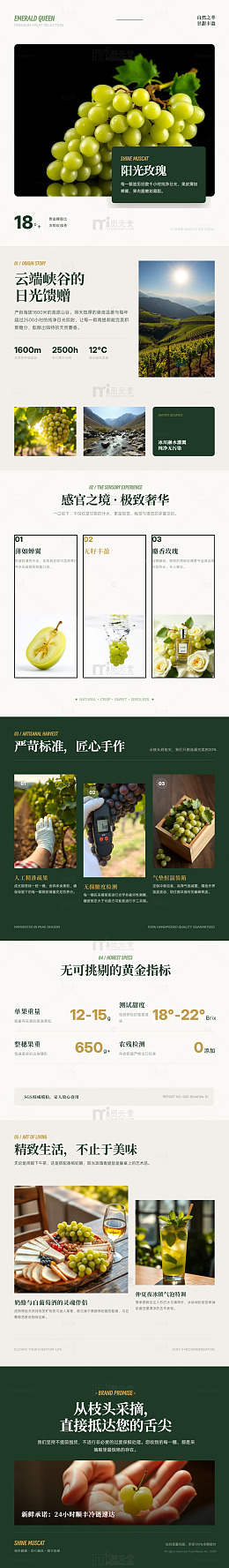 极简风阳光玫瑰葡萄产品宣传长图详情页
