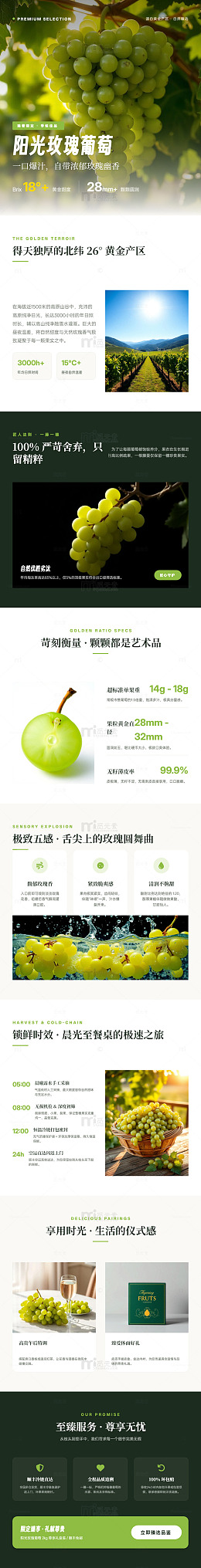高端风阳光玫瑰葡萄宣传海报长图详情页