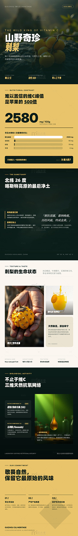 极简风山野奇珍刺梨营养海报长图详情页