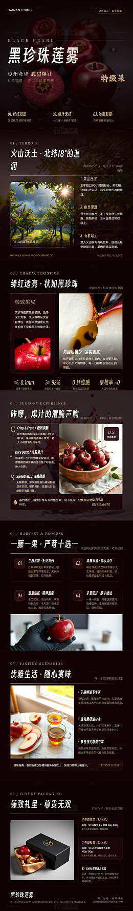 高端黑珍珠莲雾水果宣传海报长图详情页