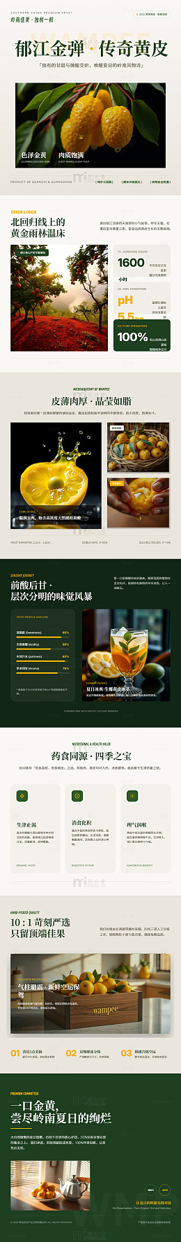 黄皮果品宣传海报长图详情页