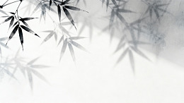 水墨风竹叶影子背景设计素材