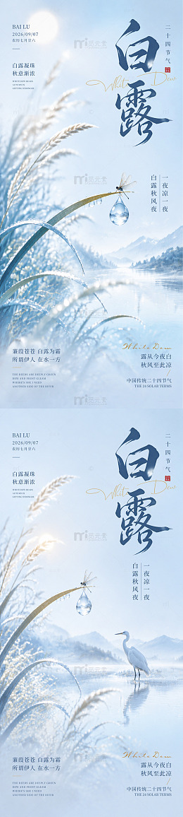 白露节气海报