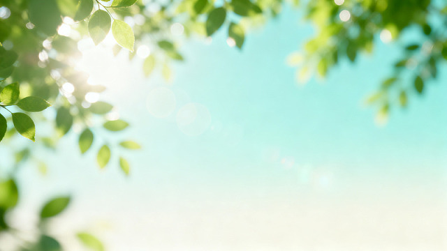 清新风绿叶阳光自然背景素材
