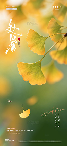 地产处暑秋分银杏叶节气海报1