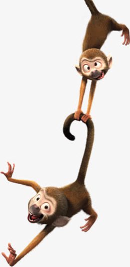 猴子 捞月 PNG免抠 无背景素材