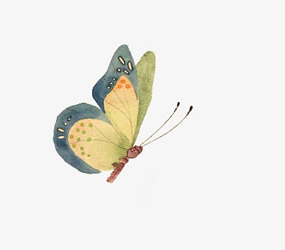 破茧成蝶 手绘蝴蝶  免扣png素材