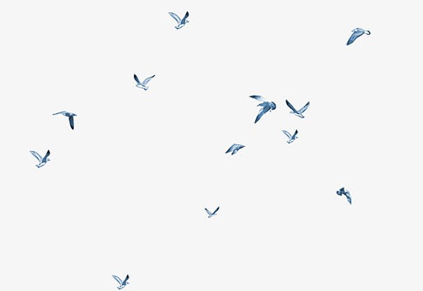 飞翔的蓝色小鸟 漂浮小鸟