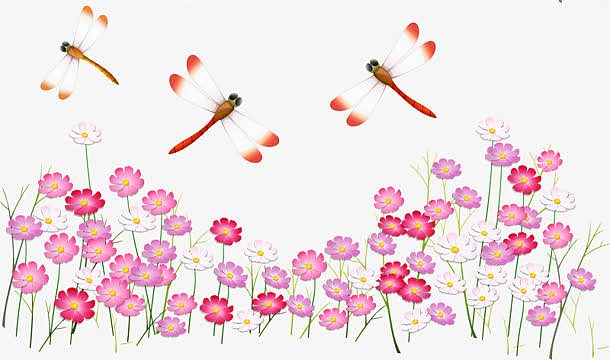 蜻蜓 水彩红花
