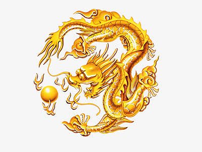 金黄色中古龙