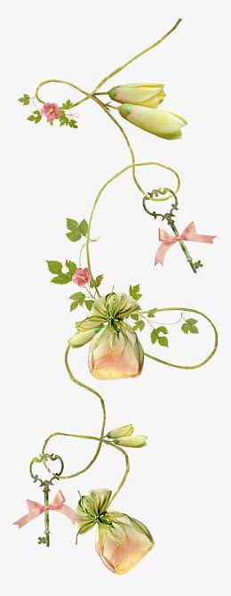 百合花草藤