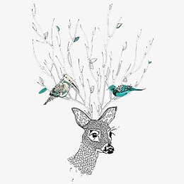 线条小鸟鹿