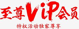至尊VIP会员字体设计