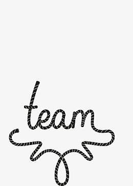 team字体