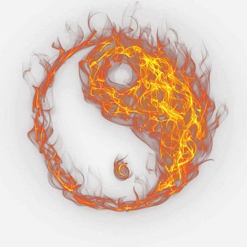 燃烧的阴阳鱼