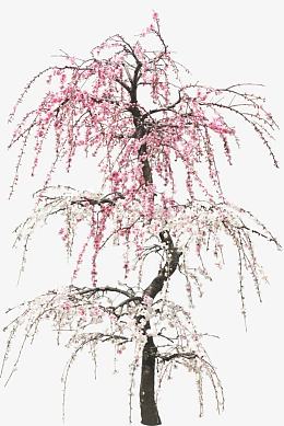 粉红免抠桃花树