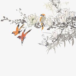 水彩古风黄鹂白花