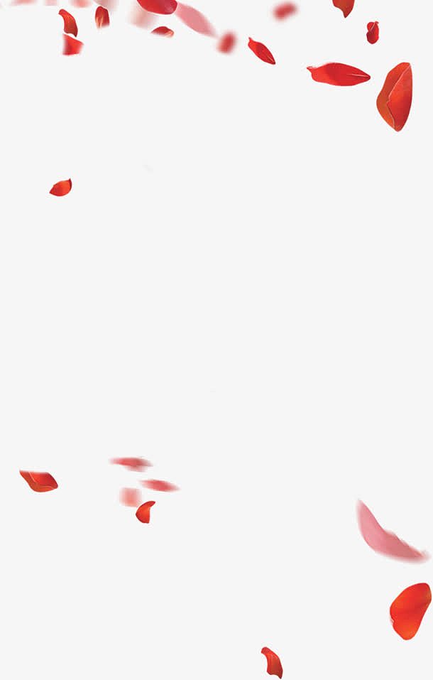 红色花瓣大集合装饰