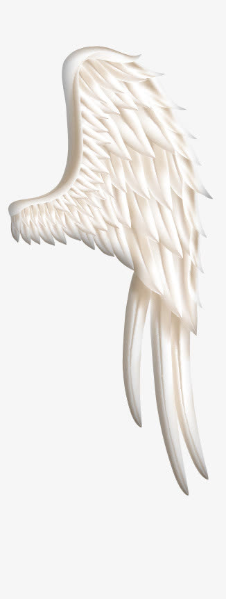 翅膀白色天使翅膀