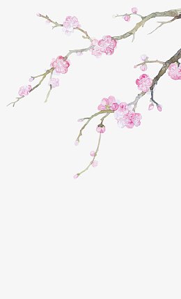 桃花手绘桃花白色桃花花枝