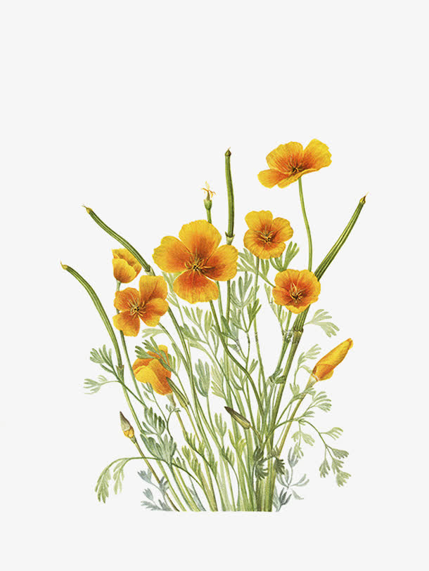 彩绘黄色叶子花朵装饰