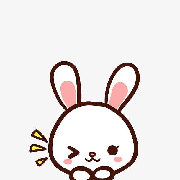 萌萌哒小兔子