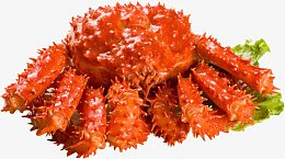 帝王蟹蟹肉海鲜