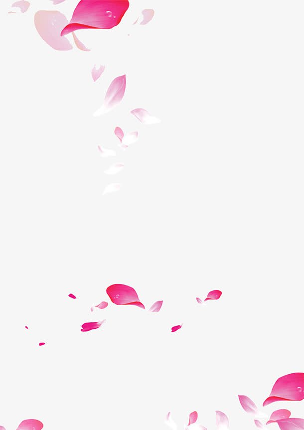 粉红高清花瓣漂浮