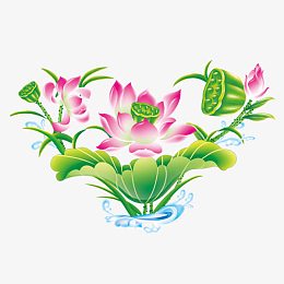 手绘莲花莲蓬花朵装饰图片