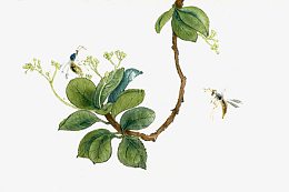 蓝色树枝彩绘蜜蜂