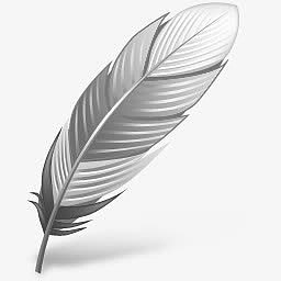 黑白羽毛装饰特效