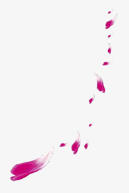 紫红色花瓣飘落装饰图片