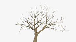 枯树枝树干素材