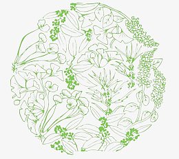 佰草集花纹红色花纹中国风
